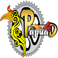 PAPUA4D